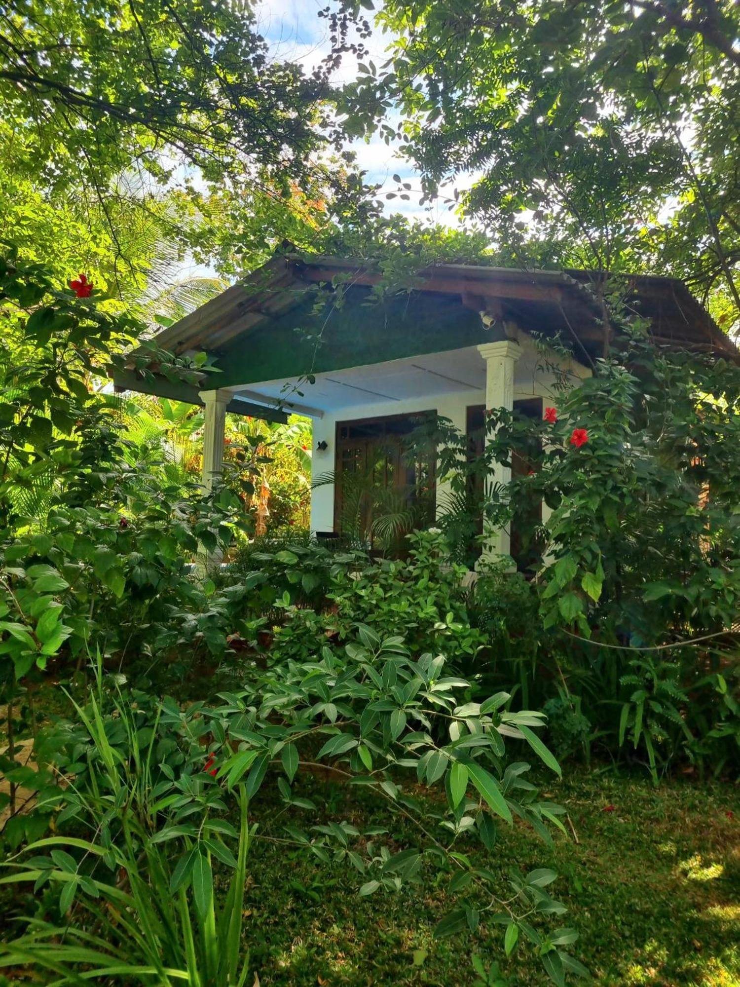 Sunrise Cottage Sigiriya Exterior foto